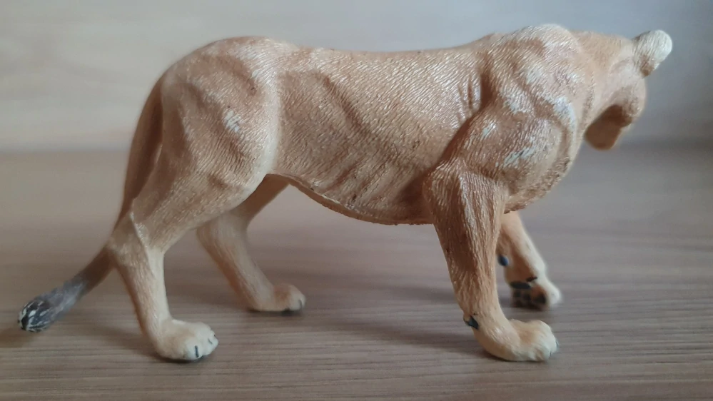 lvice 14825, model 2018