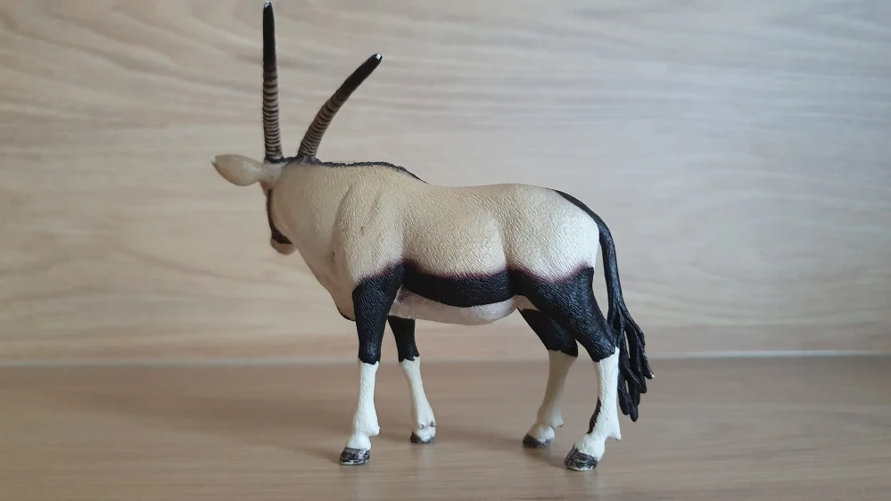 antilopa Oryx 14759, model 2015