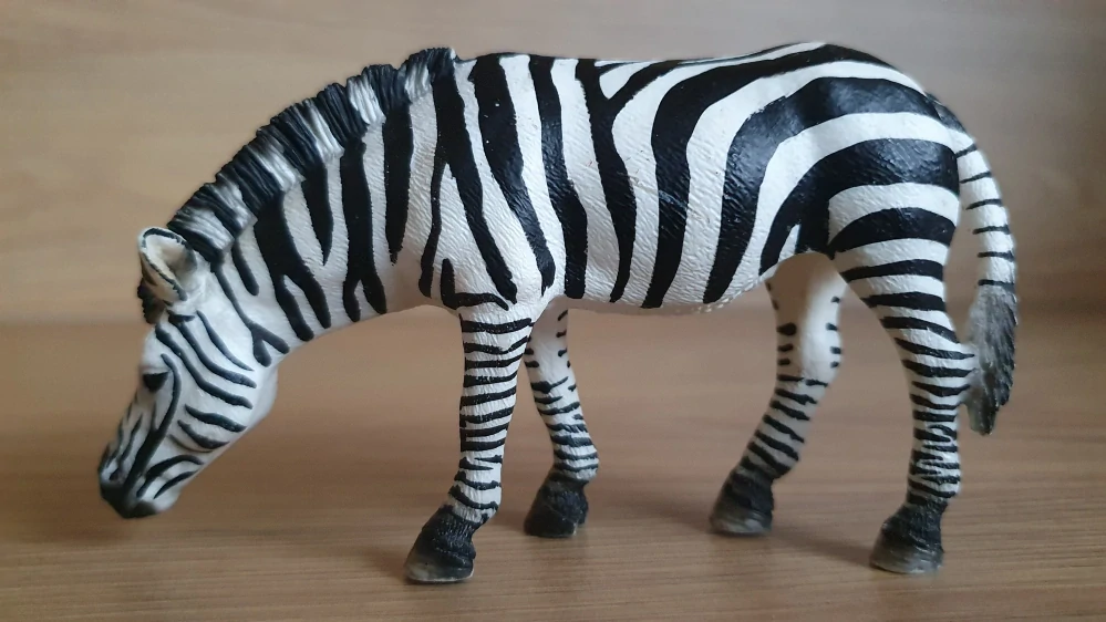 zebra krmící se 14609, model 2009