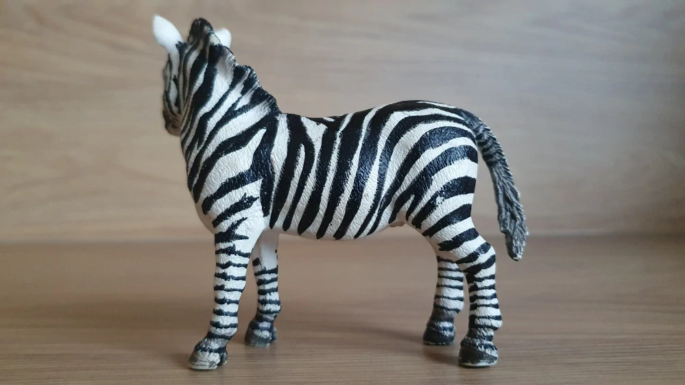 zebra 14391, model 2008