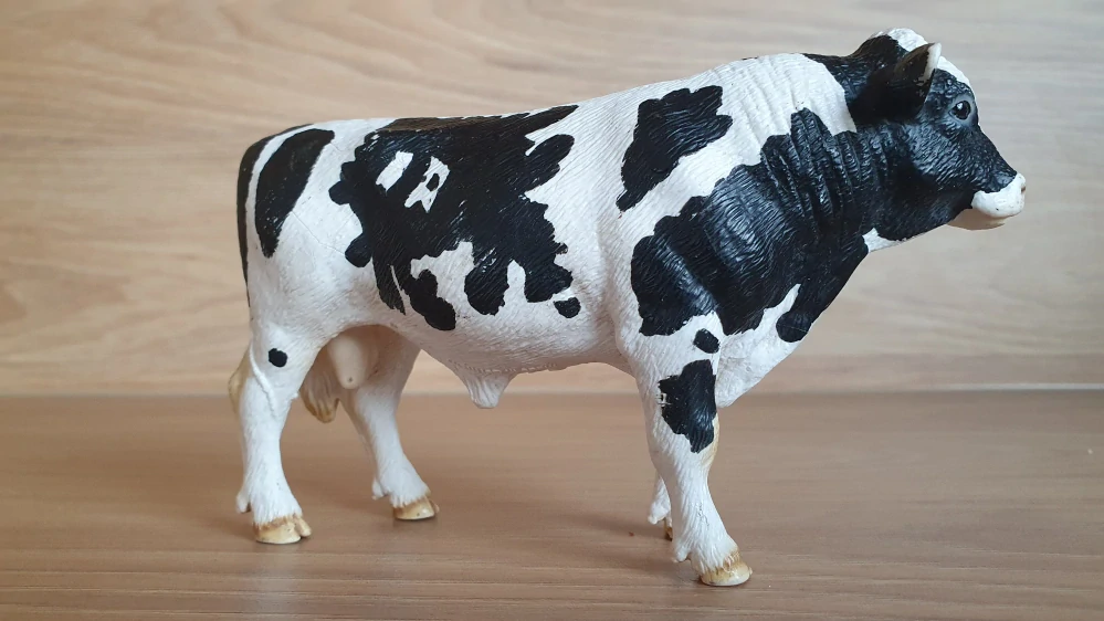 býk holštýnský 13632, model 2007