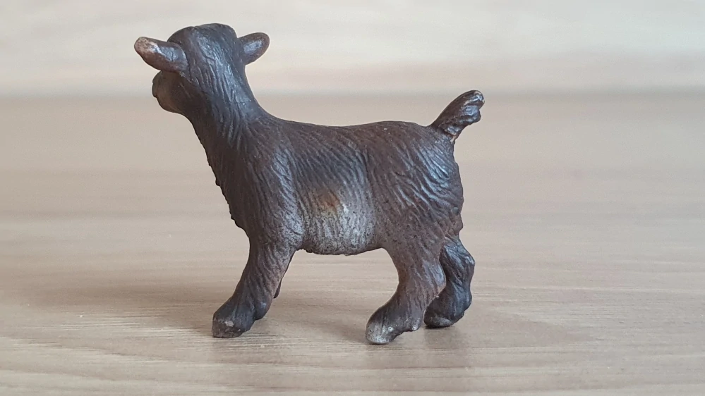 kůzle  13611, model 2005