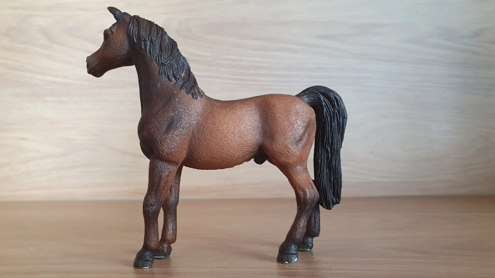 Arabský hřebec 13629, model 2007