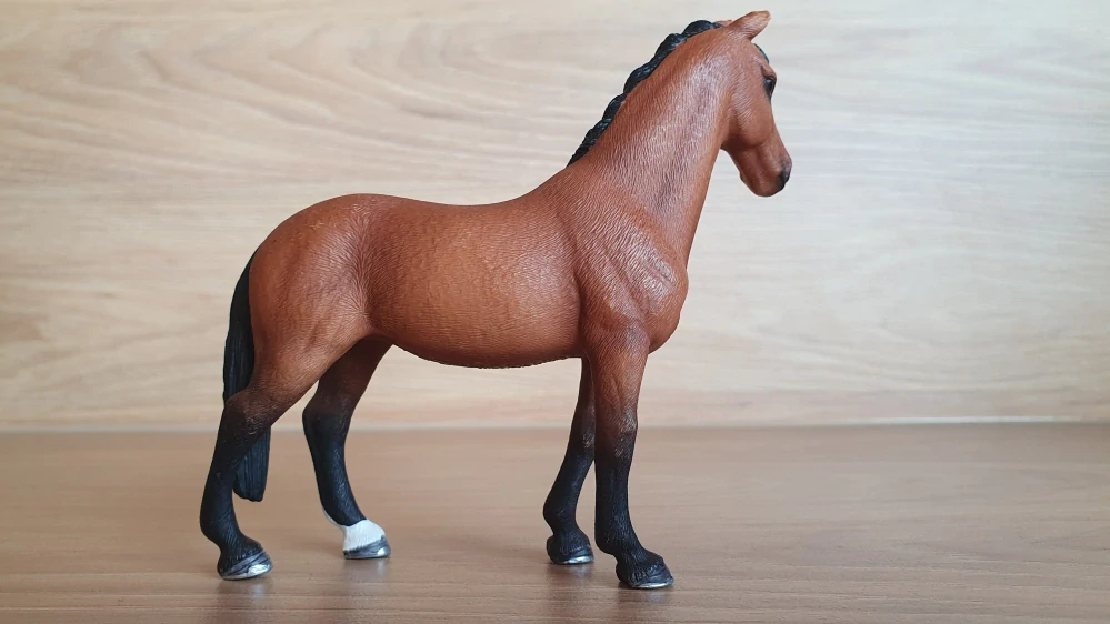 Trakehner klisna 13757, model 2013