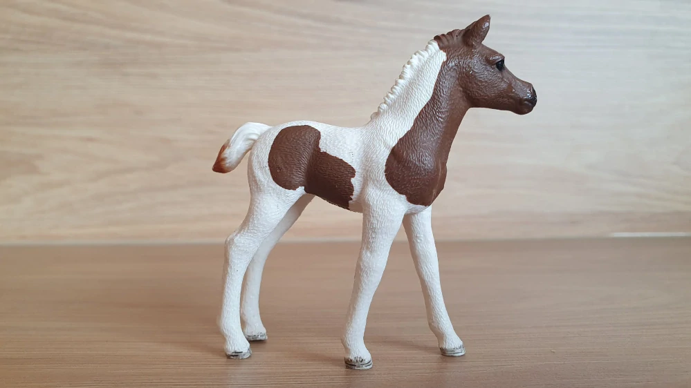 Pintabiian hříbě 13839, model 2016