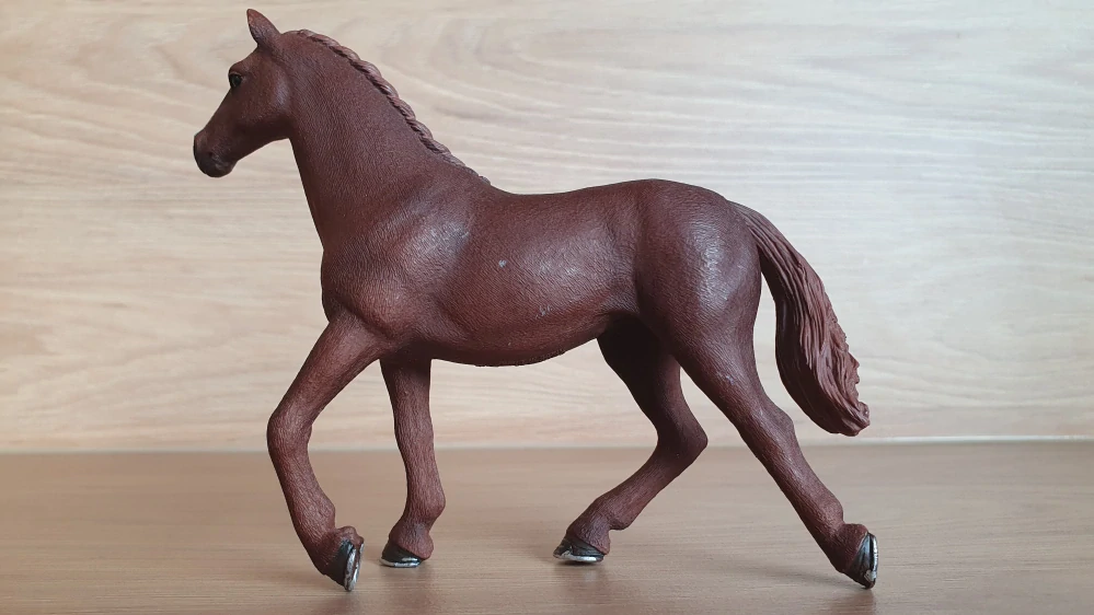 Anglický plnokrevník klisna 13855, model 2016