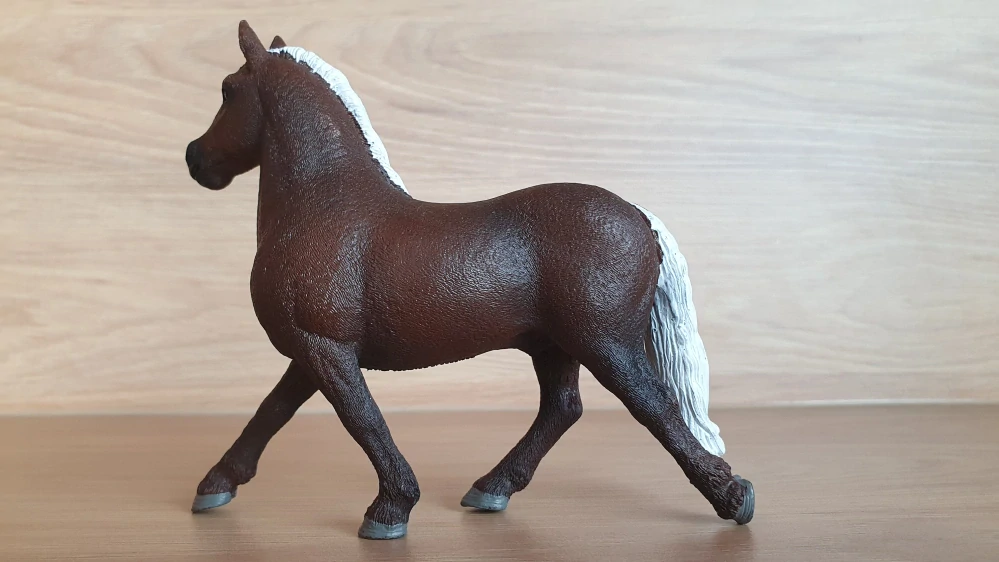 Černý lesní hřebec  13897, model 2019