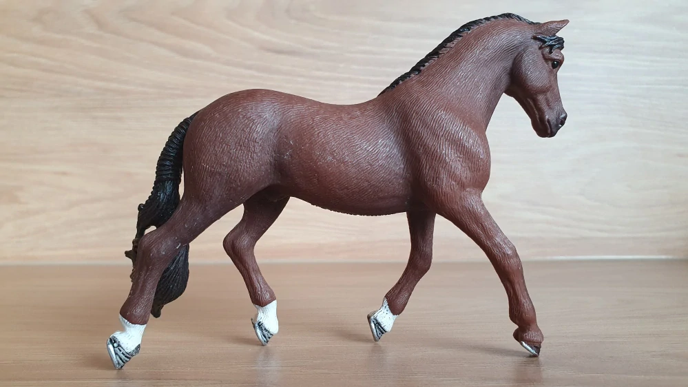Trakehner valach 13909, model 2019