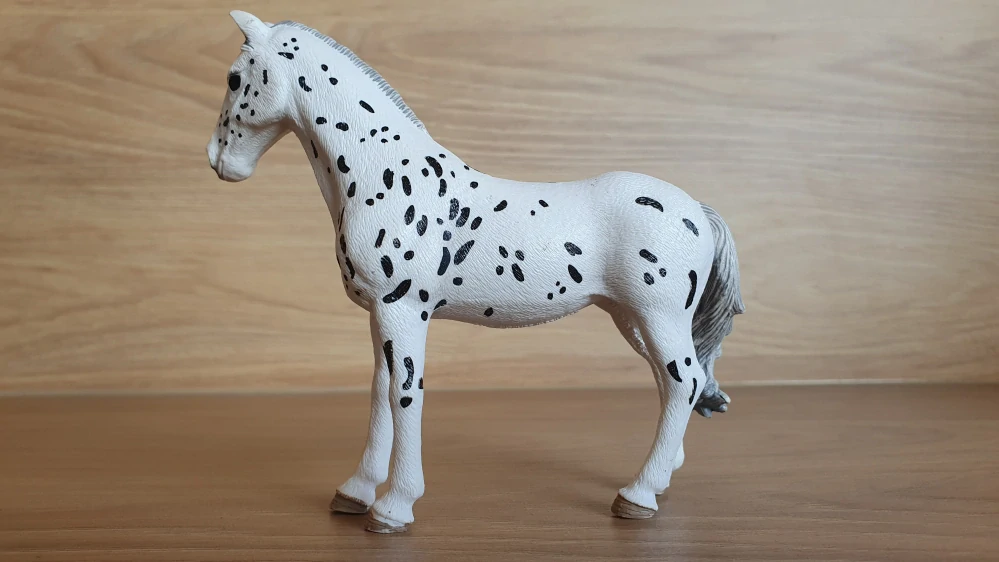 Knabstrupperská klisna 13910, model 2019