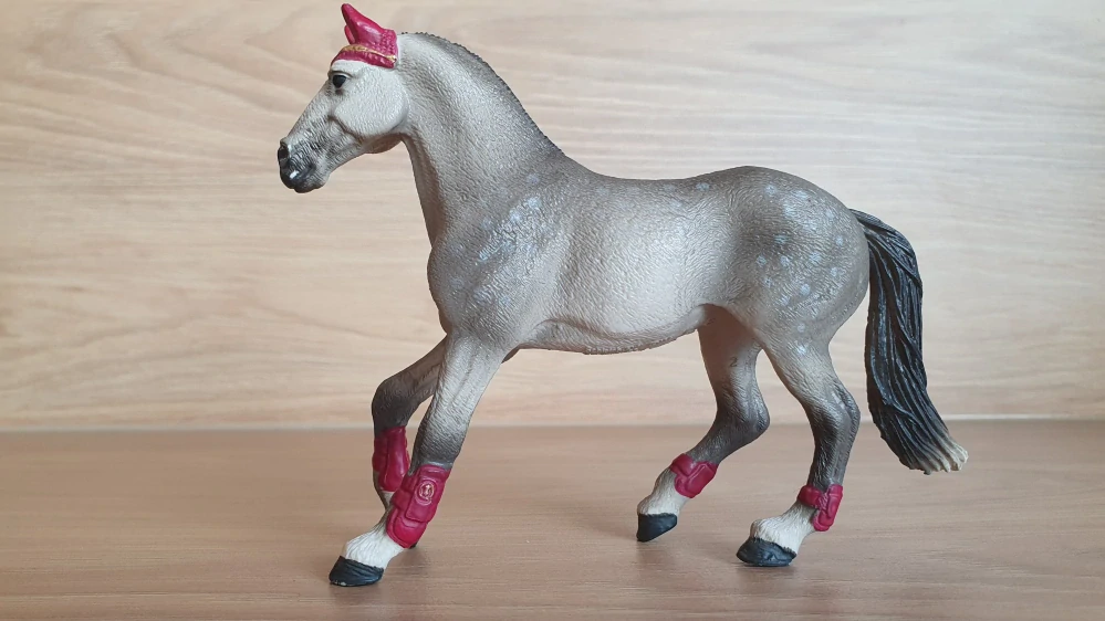 Trakehner klisna 42456, model 2018