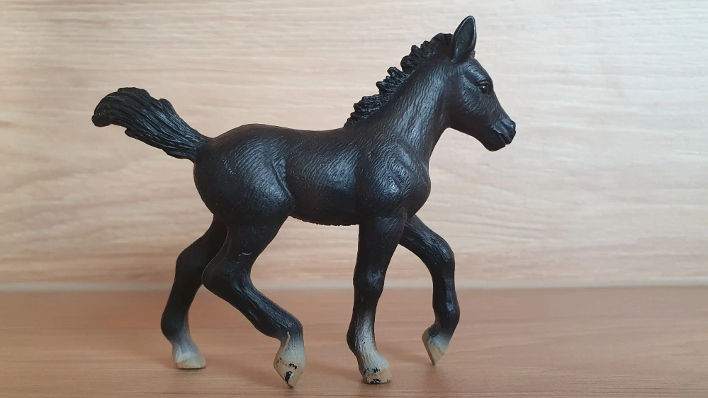 Lipicán hříbě  13294, model 2004