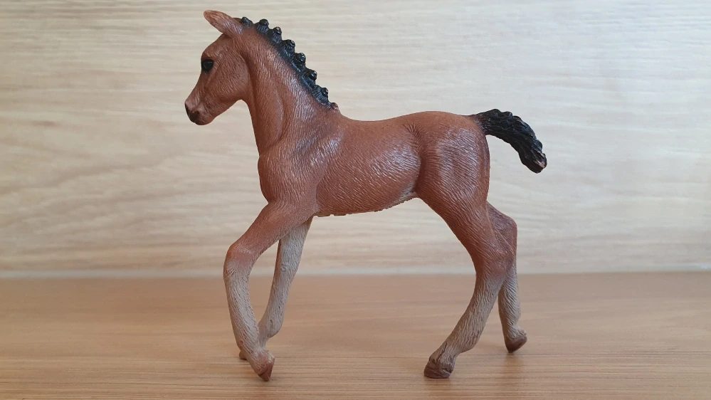Hanoverské hříbě hříbě 13818, model 2016