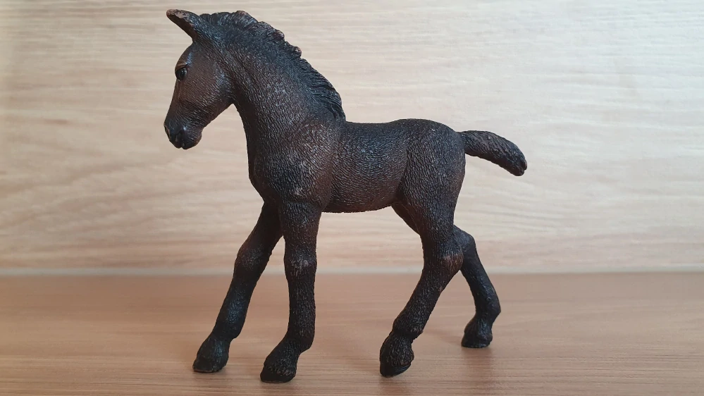 Lipicánské hříbě 13820, model 2016