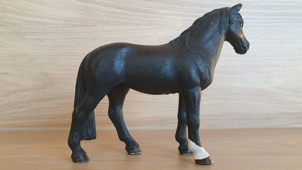 Tennessee valach mimochodník černý 13832, model 2016