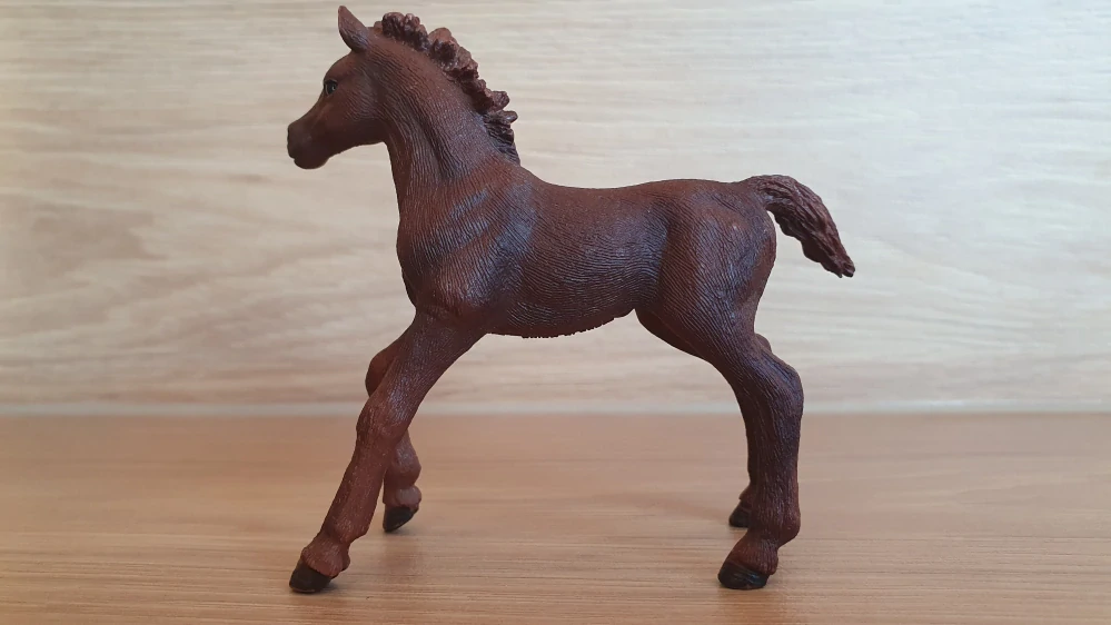 Anglický plnokrevník hříbě 13857, model 2016