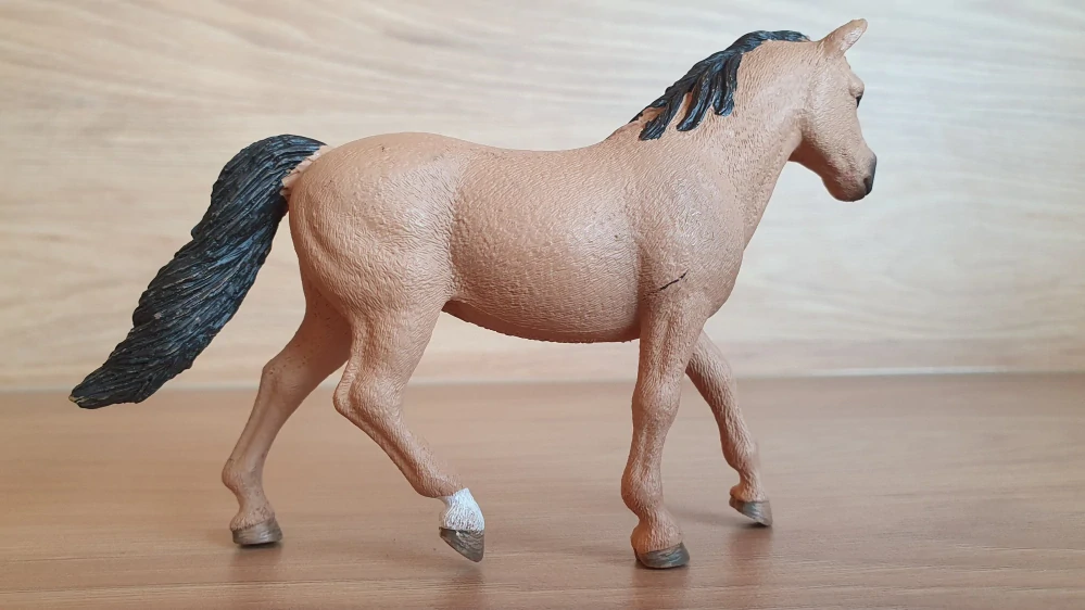 Connemarská pony klisna 13863, model 2017