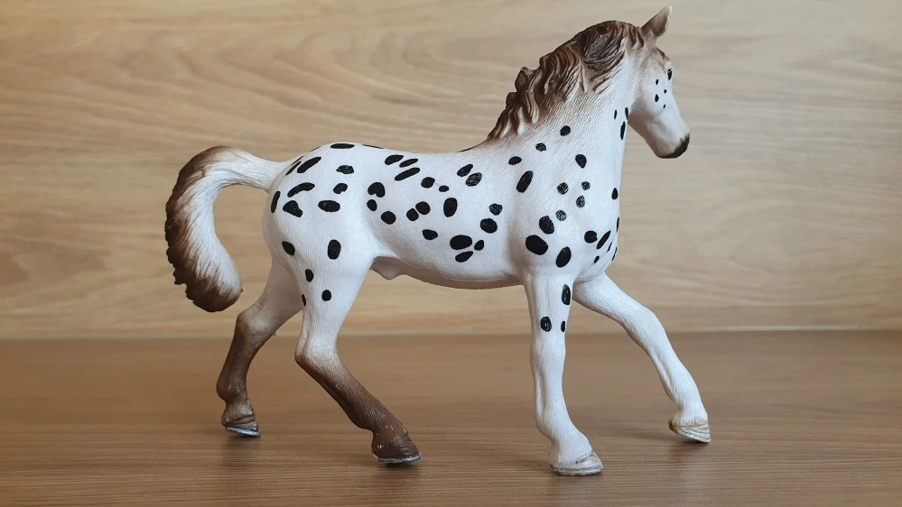 knabstrupperský hřebec 13889, model 2018