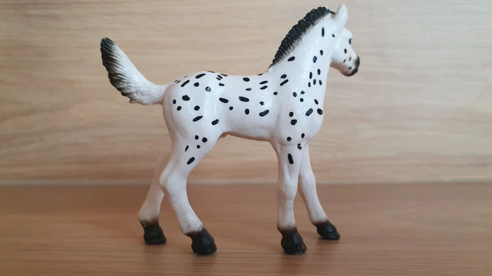 Knabstrupperské hříbě 13890, model 2018