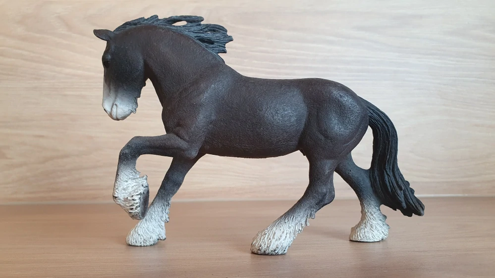 Hřebec shirský 13734, model 2012