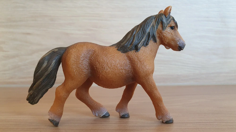 Shetlandský poník poník 13750, model 2013