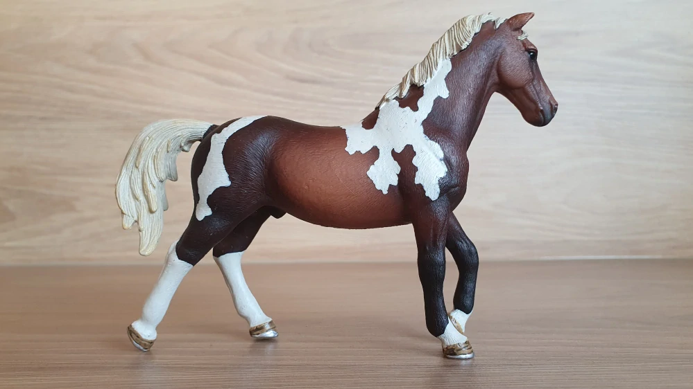 Hřebec Trakehnerský 13756, model 2013