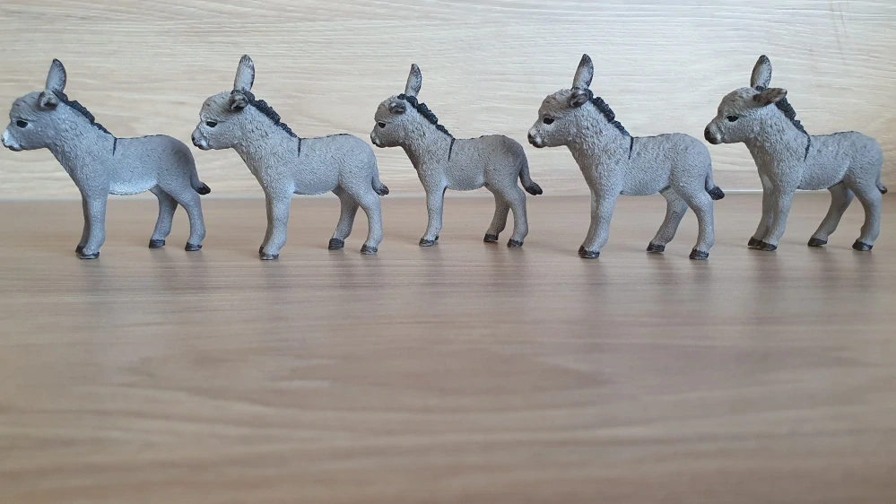 osel mládě 13746, model 2013