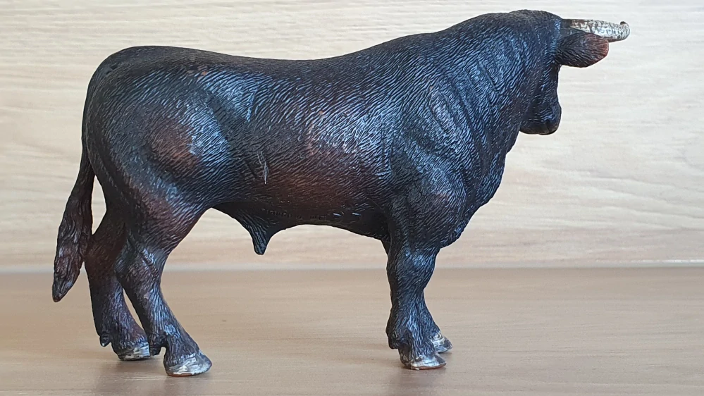 býk  13722, model 2012