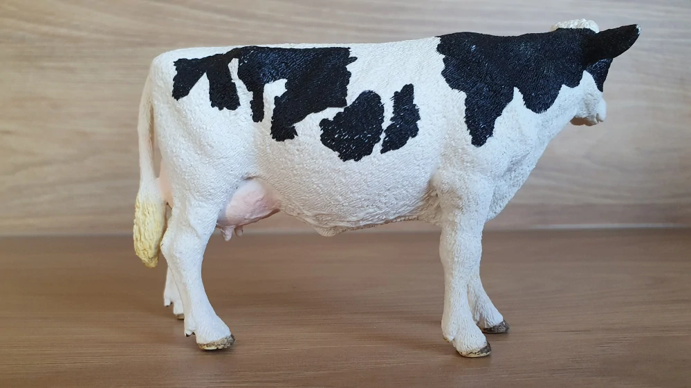 kráva holštýnská 13797, model 2015