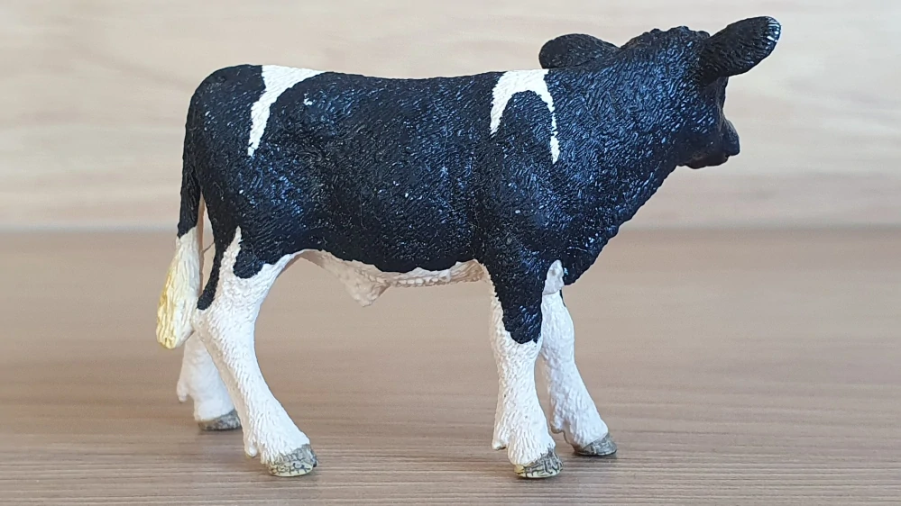 tele holštýnské  13798, model 2015