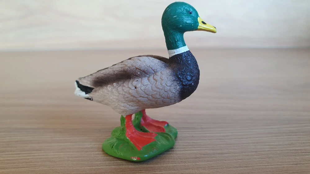 kačer 13824, model 2016