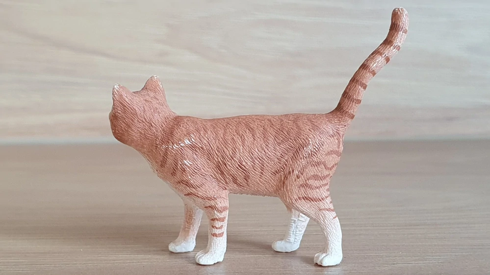 kočka rezavá 13836, model 2016