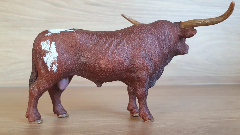 Býk longhornský  13866, model 2017