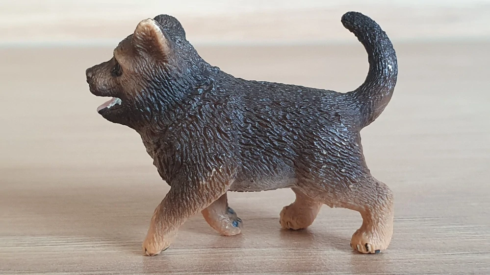 Německý ovčák štěně 16832, model 2014