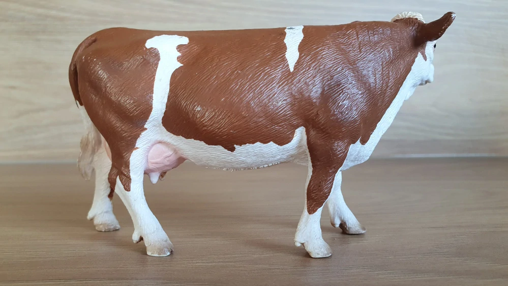 kráva Simmentálská 13641, model 2008