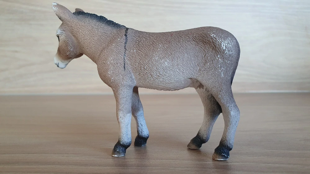 osel  13644, model 2008