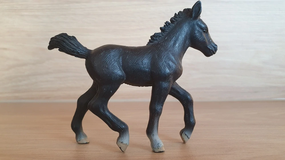 Lipicán hříbě 13294, model 2004