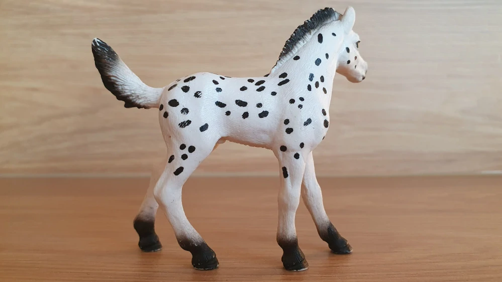 Knabstrupperské hříbě 13890, model 2018