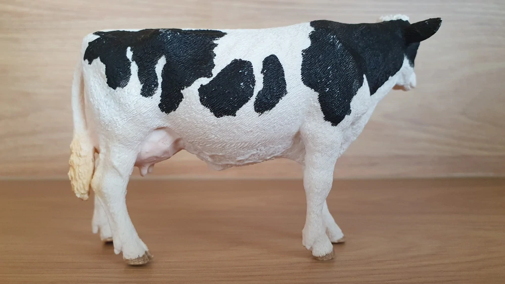 kráva holštýnská 13797, model 2015