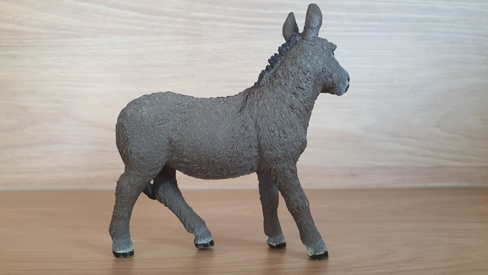 osel  13772, model 2014