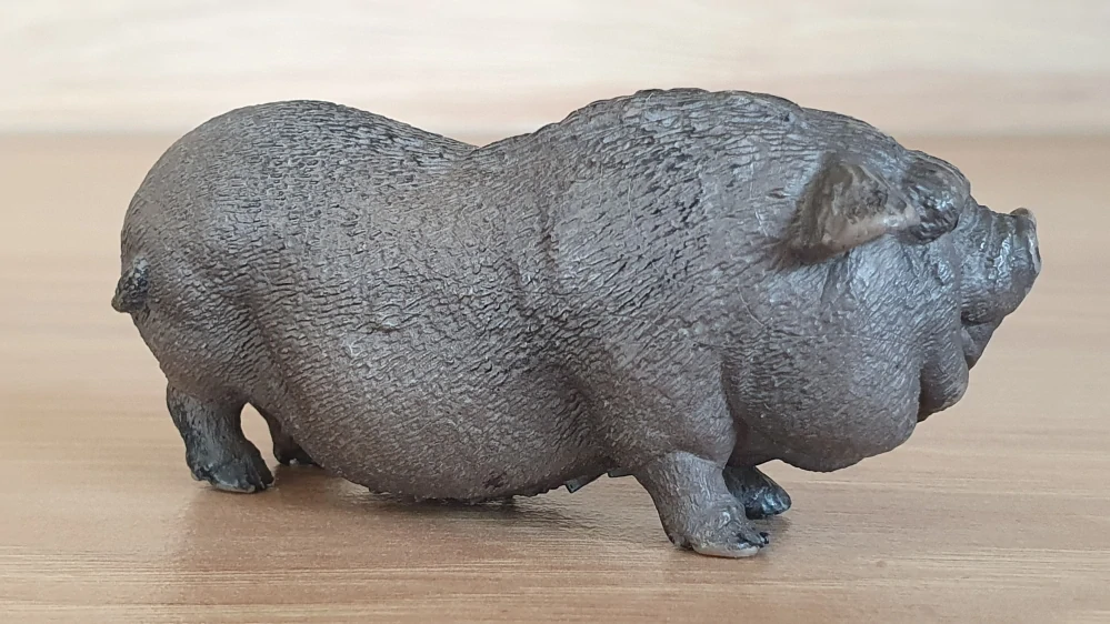 prase vietnamské  13747, model 2013