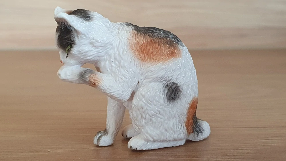 kočka flekatá, lízající packu 13675, model 2010