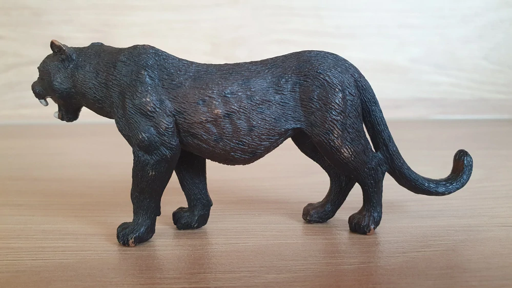 panter  14688, model 2012