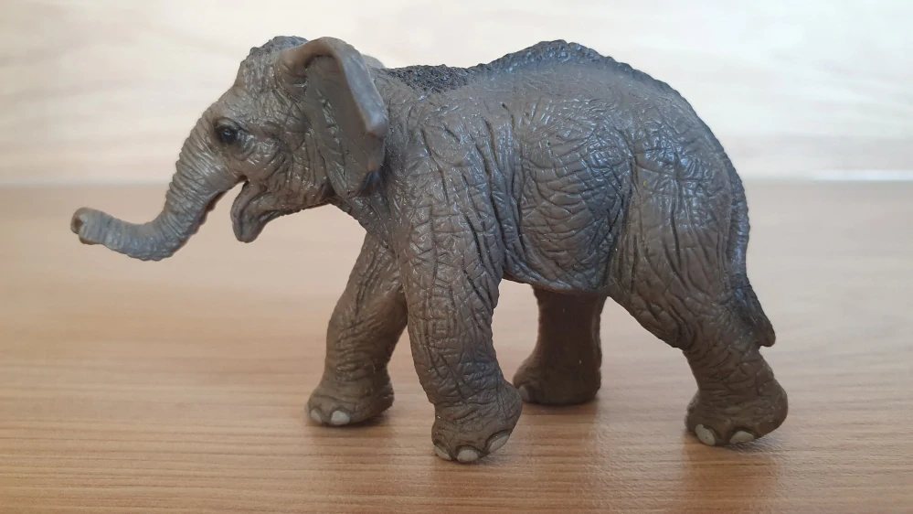 slůně  14658, model 2011