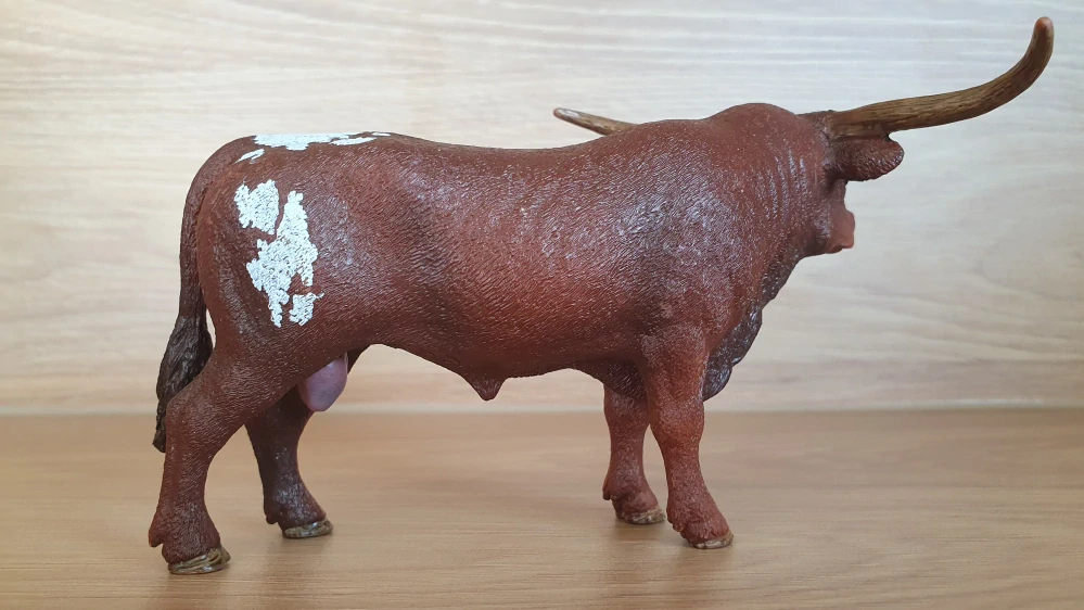 Býk longhornský  13866, model 2017