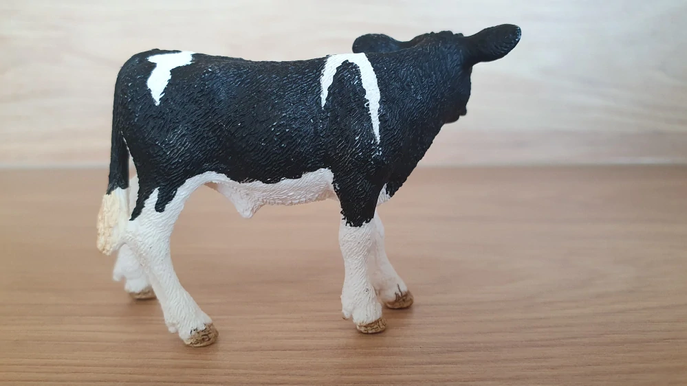 tele holštýnské  13798, model 2015