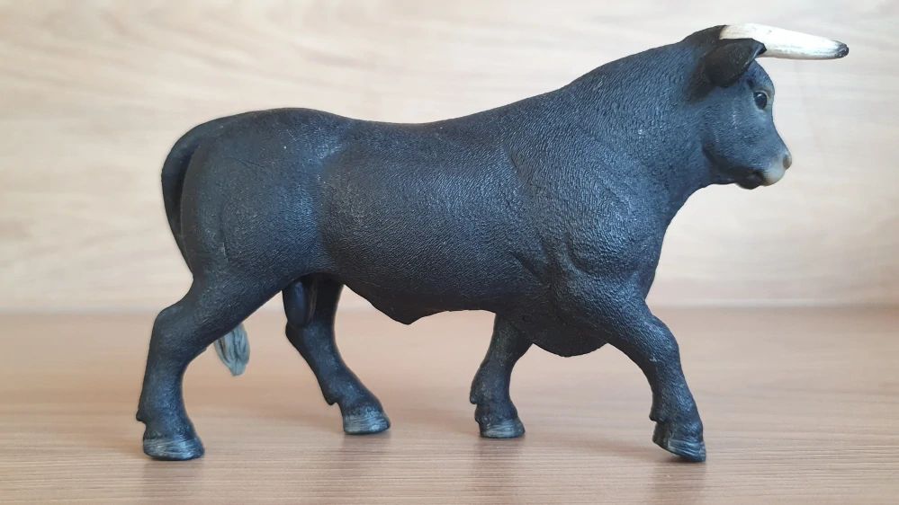 Černý býk  13875, model 2017