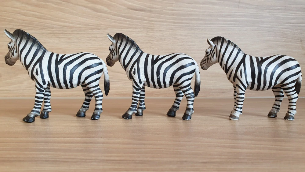 zebra 14148, model 1998