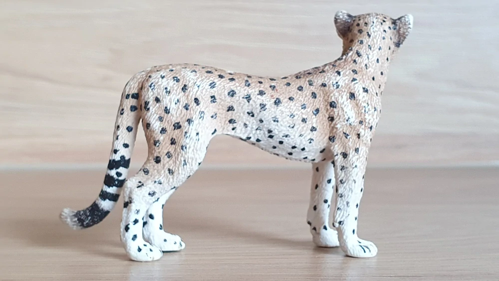gepard 14614, model 2009