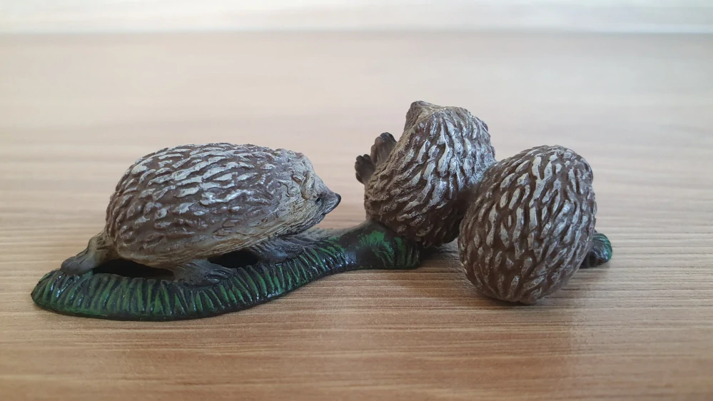 ježci mláďata 14623, model 2009