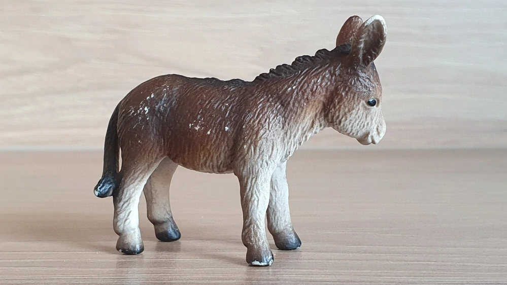 osel mládě 13268, model 2002